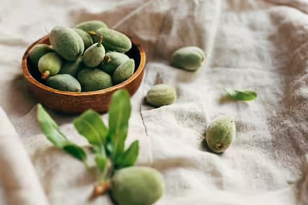 قیمت خرید چغاله بادام سبز عمده به صرفه و ارزان